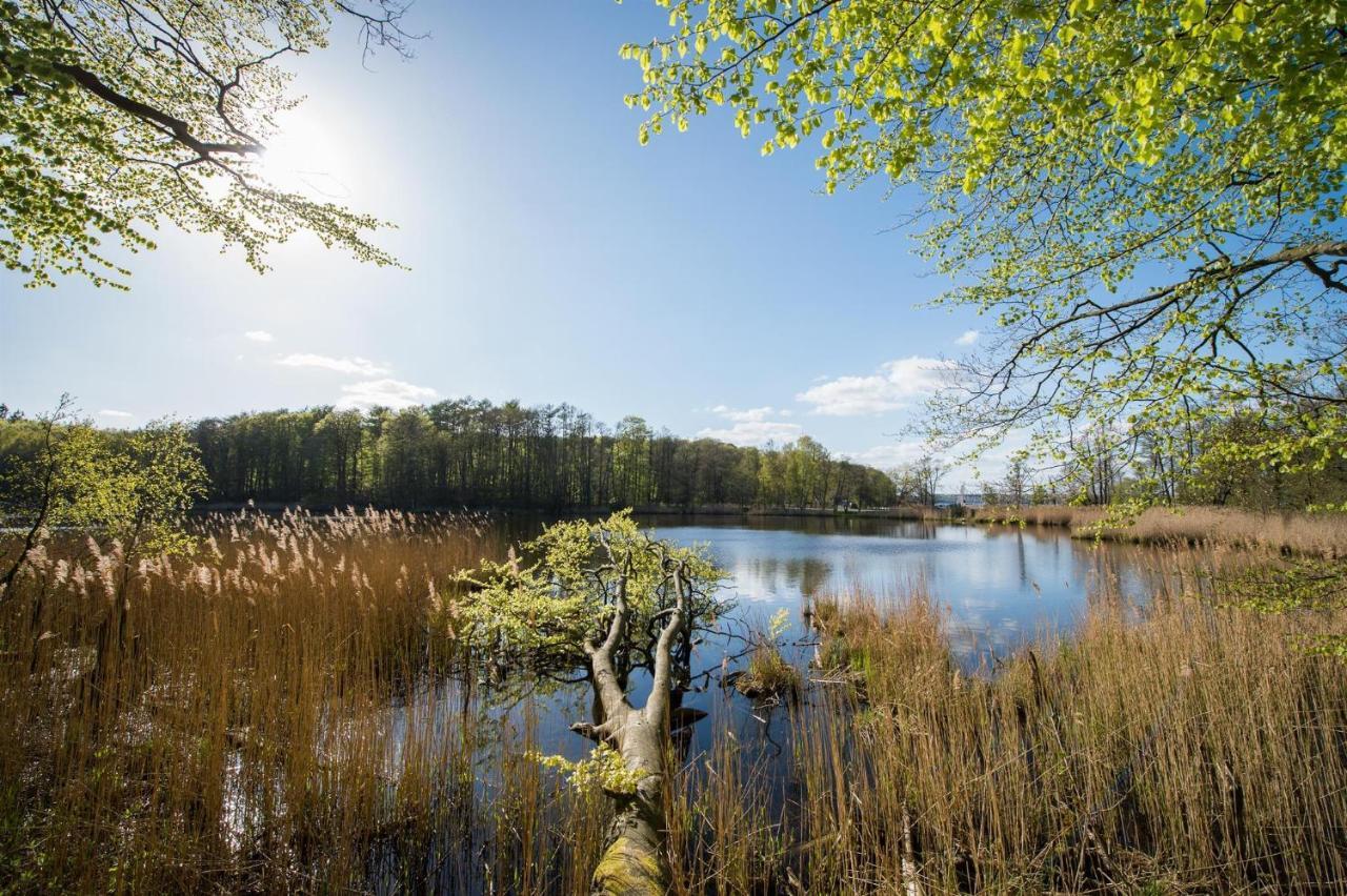 Meer-Studio Glücksburg Zewnętrze zdjęcie